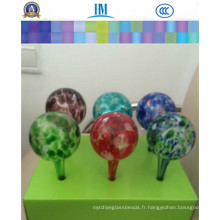 Glass Plant / Globes de fleurs / Globes d&#39;arrosage pour l&#39;arrosage des jardins